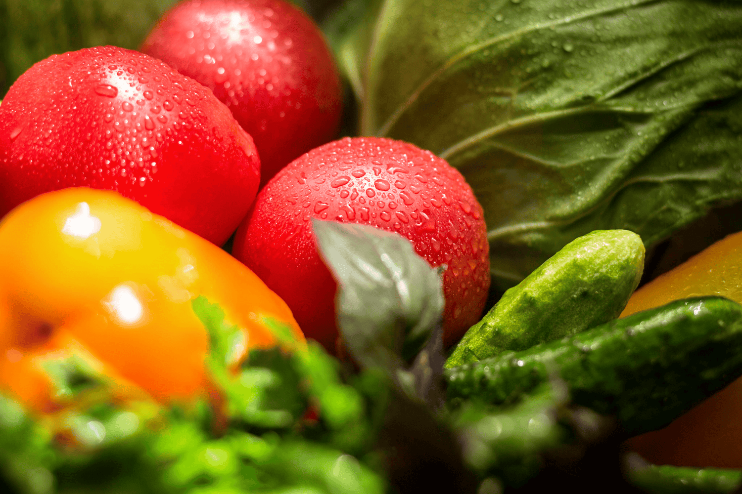 The Importance of Nutrition in Life and How Supplements Can Help Fulfill It