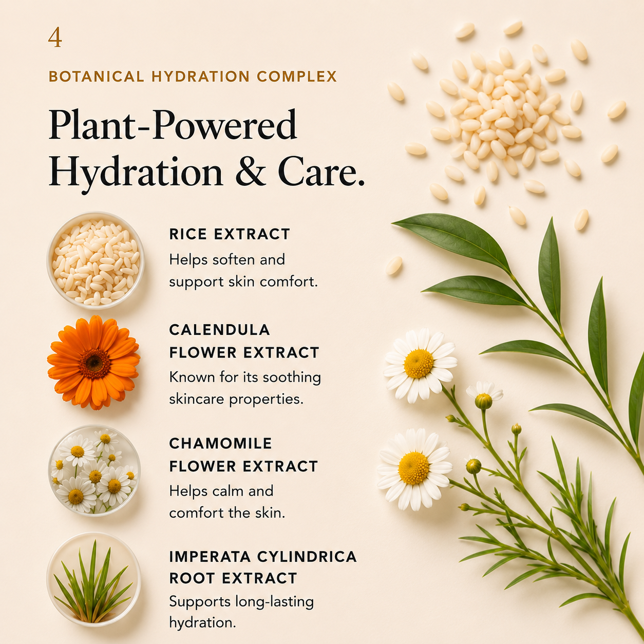 Soft Radiance — Vitamin C Serum